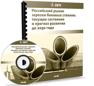 Российский рынок зарезки боковых стволов: текущее состояние и прогноз развития до 2030 года